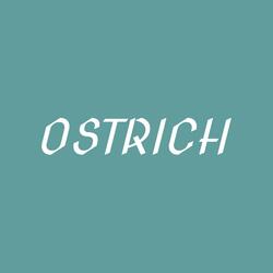 Ostrich