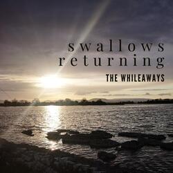 Swallows Returning