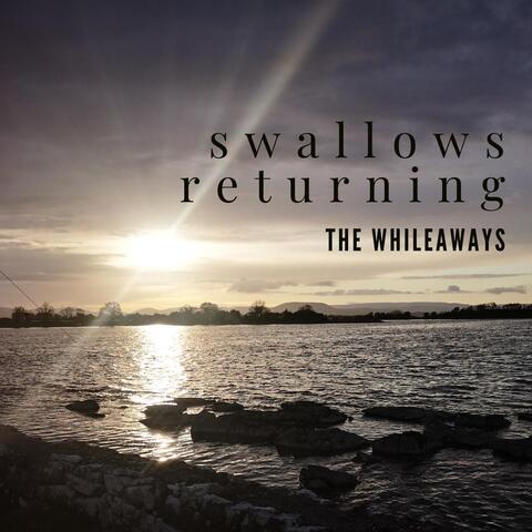 Swallows Returning