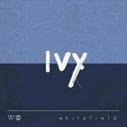 Ivy (Acoustic) [Live]