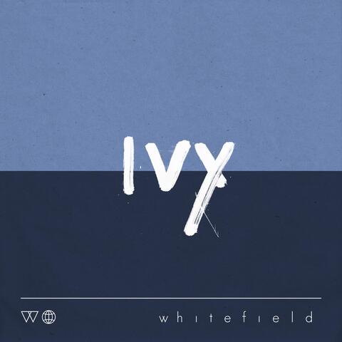 Ivy (Acoustic) [Live]
