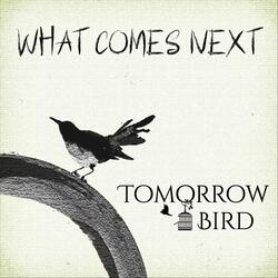 What Comes Next