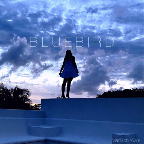 Bluebird