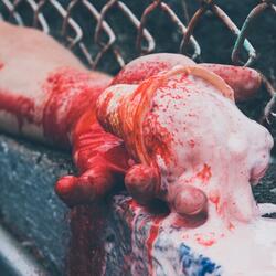 Ice Cream Slaughterhouse