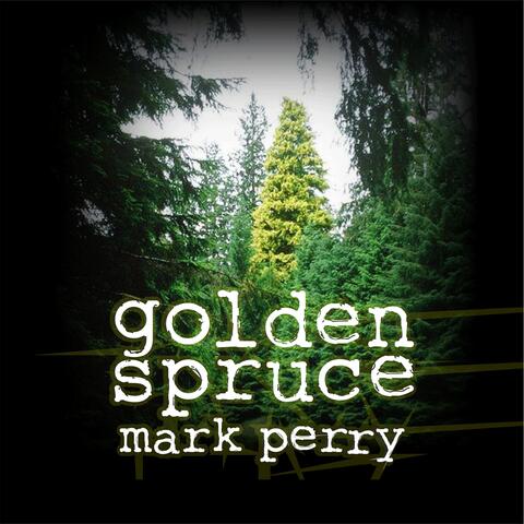Golden Spruce