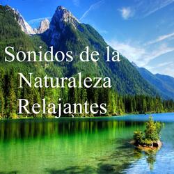 Ruidos de la Naturaleza
