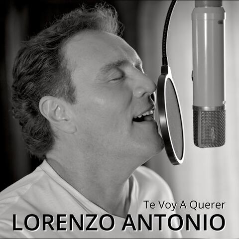 Te Voy a Querer
