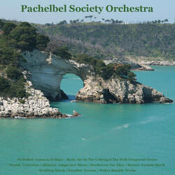 String Concerto N° 8 in C Minor, RV 127, from Paris Concertos: III. Allegro