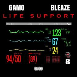 Life Support (feat. Bleaze)