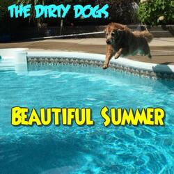 Beautiful Summer