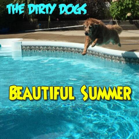 Beautiful Summer
