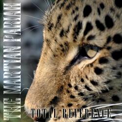 Turn It All to Shame