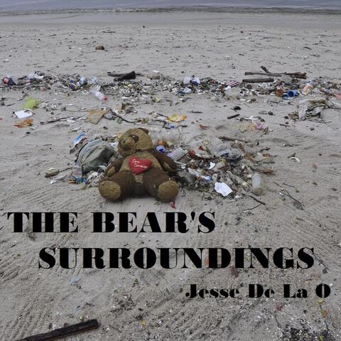 The Bear's Surroundings