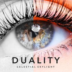 Duality