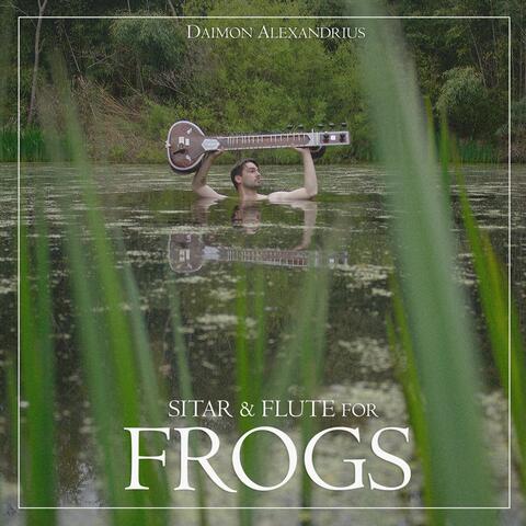 Sitar & Flute for Frogs