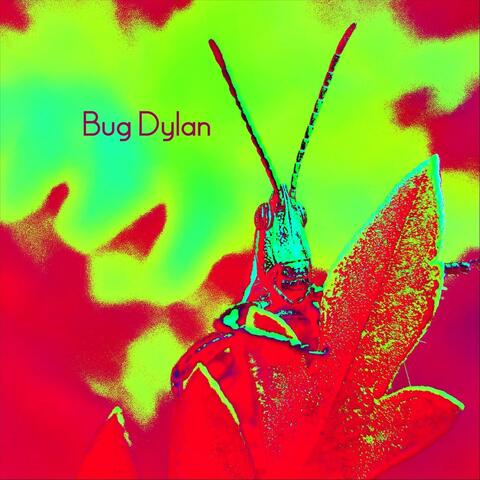 Bug Dylan
