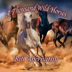 A Thousand Wild Horses