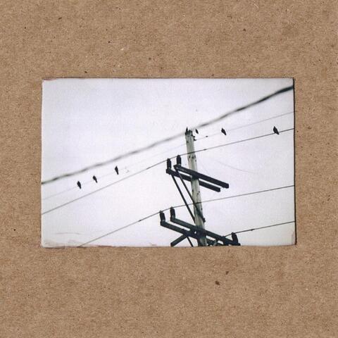 We Carry Our Fate in Plain Sight