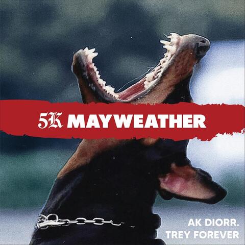 5k Mayweather (feat. Trey Forever)
