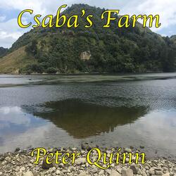 Csaba's Farm