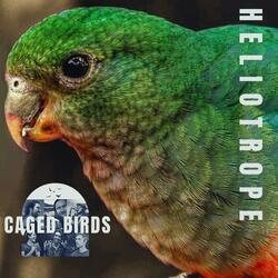 Caged Birds