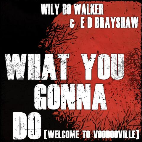 What You Gonna Do (Welcome to Voodooville)