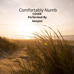 Comfortably Numb
