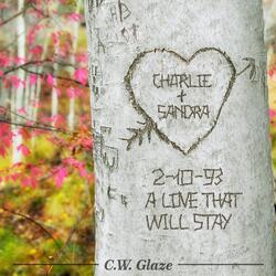 A Love That Will Stay
