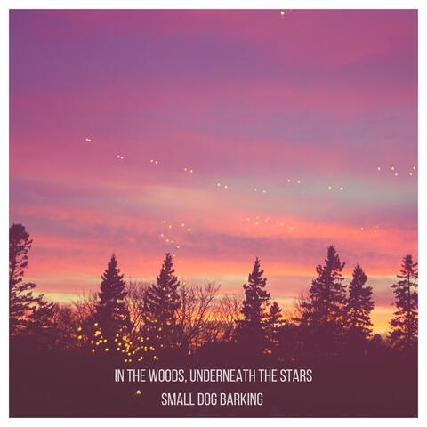In the Woods, Underneath the Stars