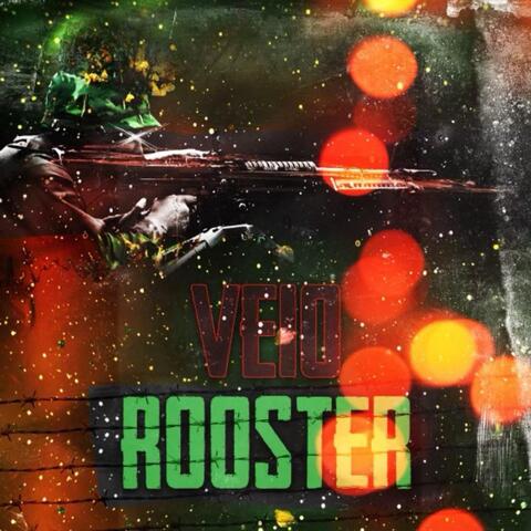 Rooster