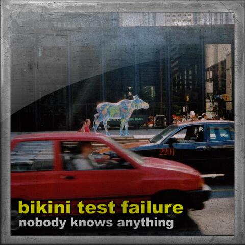 Nobody Knows Anything