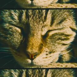 Drowsiness