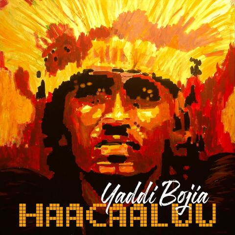 Haacaaluu
