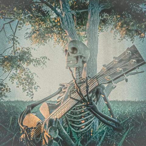 In the Shade of an Orange Tree