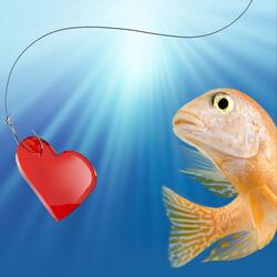 Love's Like Fish'n