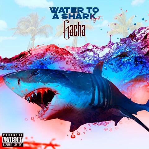 Water to a Shark Project 1