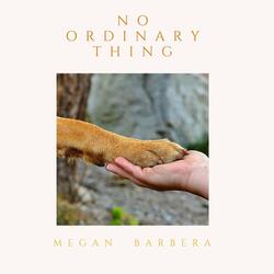 No Ordinary Thing