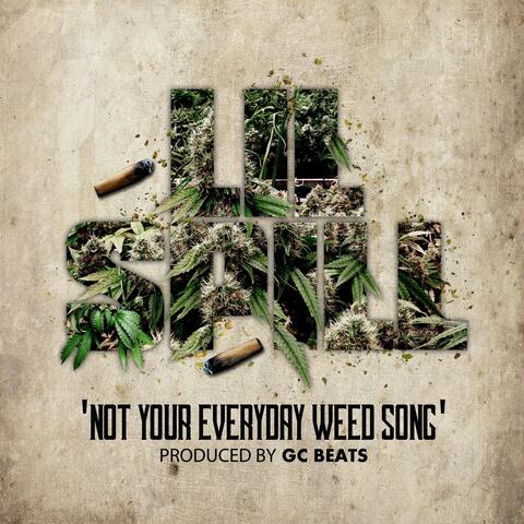 Not Your Everday Weed Song