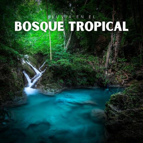 Lluvia en el Bosque Tropical