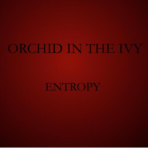 Entropy