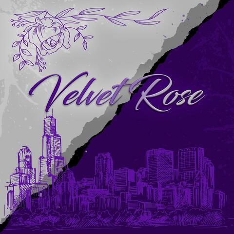 Velvet Rose