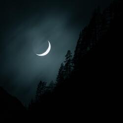 Moonlight Shadow