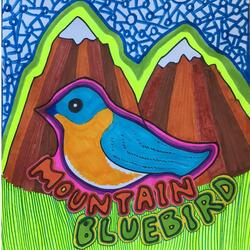 Mountain Bluebird