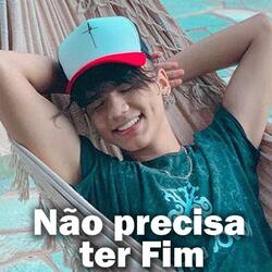 Não Precisa Ter Fim