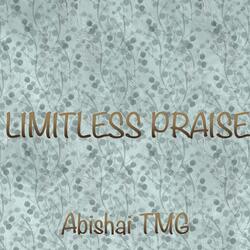 Limitless Praise (feat. Barbara Turner)
