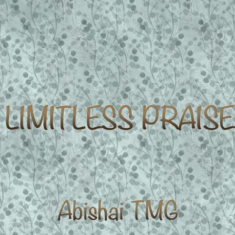 Limitless Praise