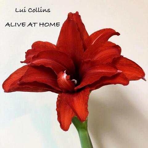 Alive at Home (Live)
