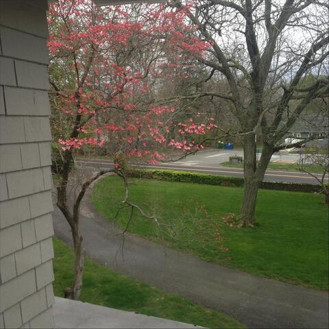 Stand up and Bless the Lord Right Now