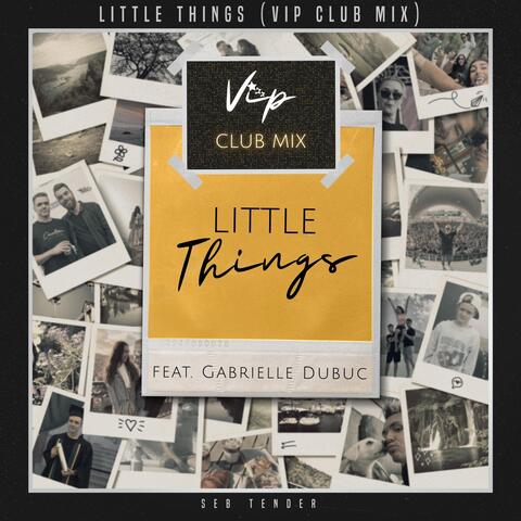 Little Things (VIP Club Mix) [feat. Gabrielle Dubuc]