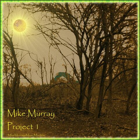 Project 1